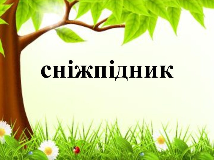 сніжпідник