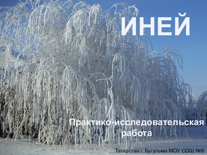 Татарстан г. Бугульма МОУ СОШ №9ИНЕЙПрактико-исследовательскаяработа