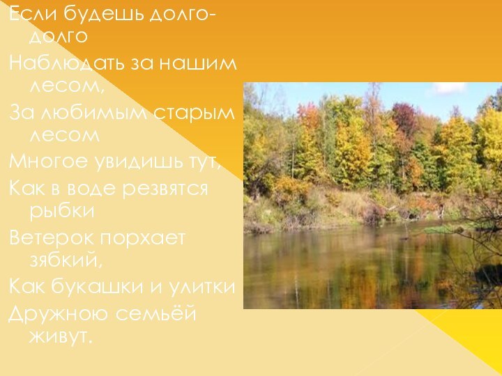 Если будешь долго-долгоНаблюдать за нашим лесом,За любимым старым лесомМногое увидишь тут, Как