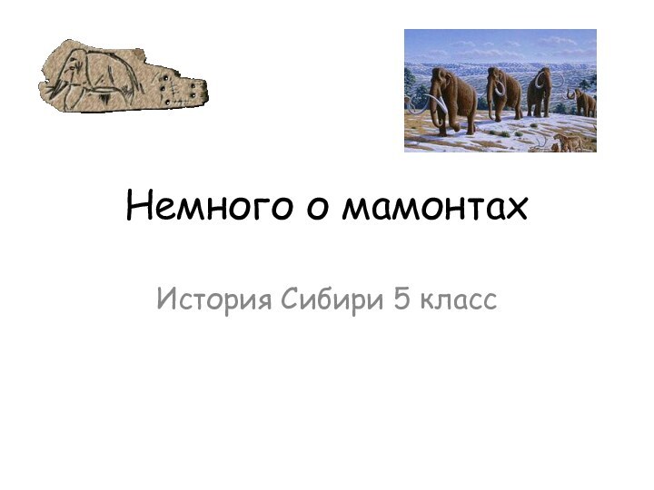 Немного о мамонтахИстория Сибири 5 класс