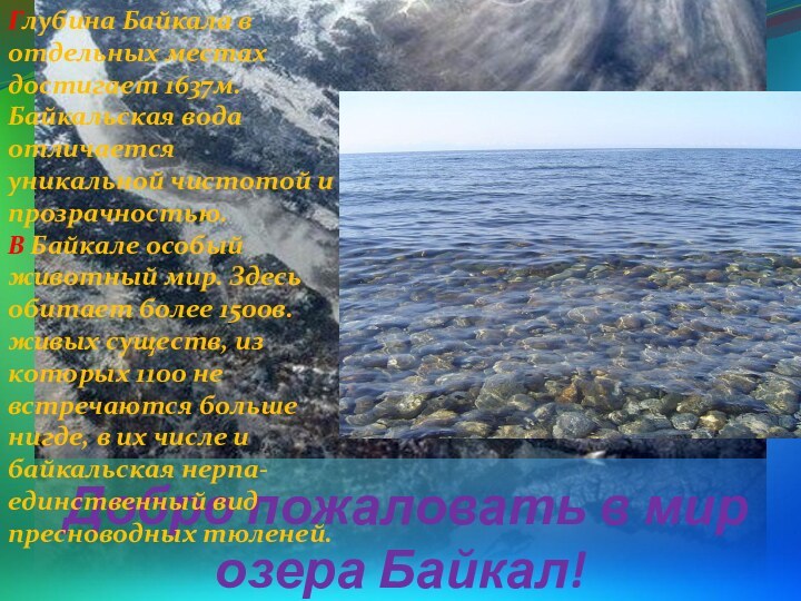 Добро пожаловать в мир озера Байкал!Глубина Байкала в отдельных местах достигает