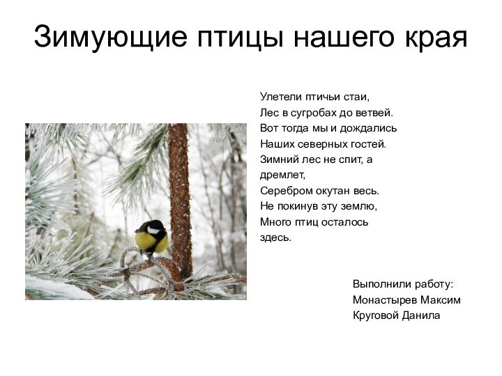 Зимующие птицы нашего краяУлетели птичьи стаи,Лес в сугробах до ветвей.Вот тогда мы