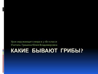 Какие бывают грибы? 3 класс