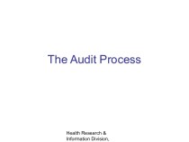 The Audit Process