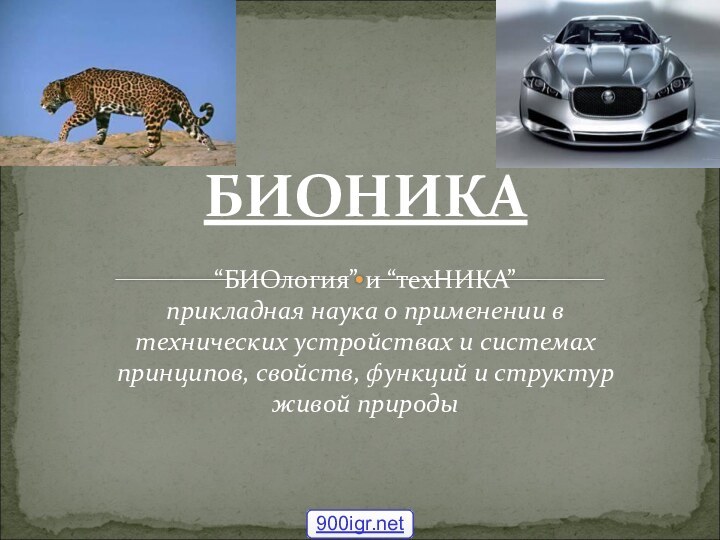 БИОНИКА “БИОлогия” и “техНИКА”  прикладная наука о применении в технических устройствах