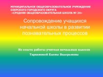 Сопровождение учащихся начальной школы в развитии познавательных процессов