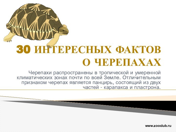 30 ИНТЕРЕСНЫХ ФАКТОВ О ЧЕРЕПАХАХЧерепахи распространены в тропической и умеренной климатических зонах