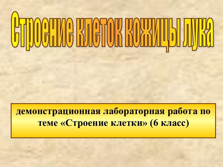 демонстрационная лабораторная работа по теме «Строение клетки» (6 класс)Строение клеток кожицы лука