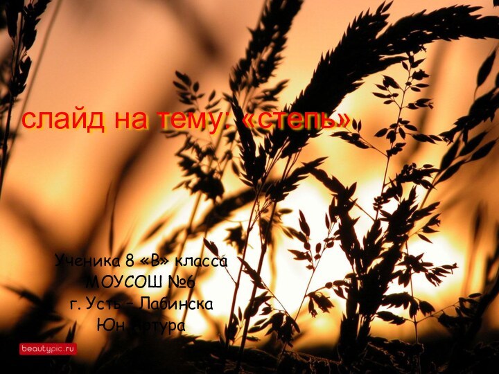 слайд на тему: «степь»Ученика 8 «В» классаМОУСОШ №6г. Усть – ЛабинскаЮн Артура