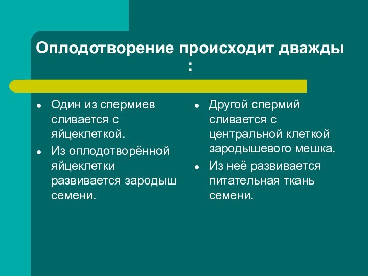 Оплодотворение происходит дважды :Один из спермиев сливается с яйцеклеткой.Из оплодотворённой яйцеклетки развивается