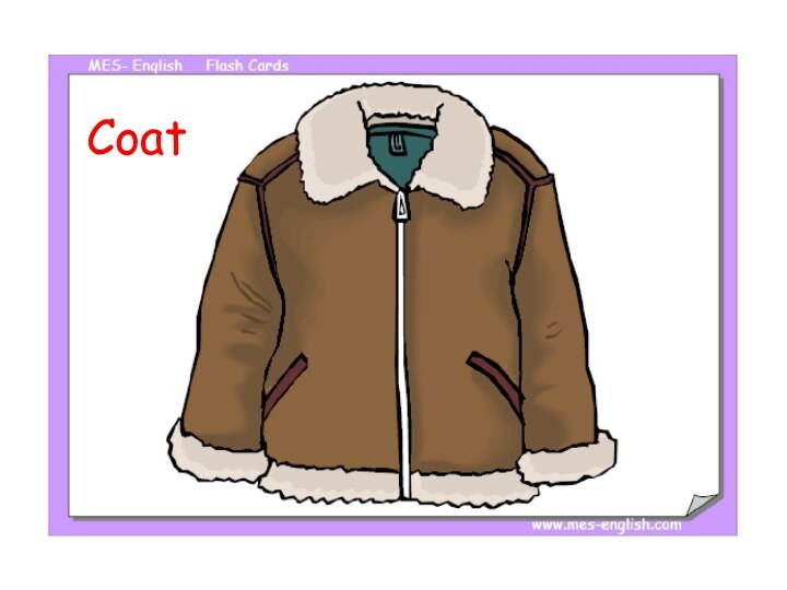 Coat