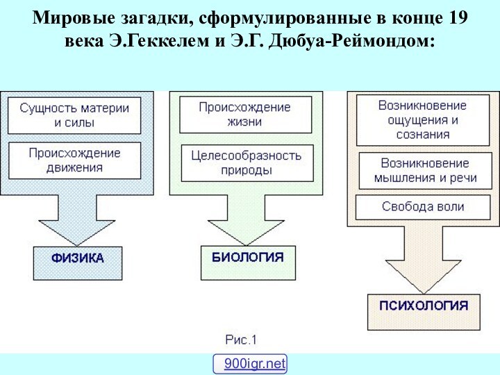 Мировые загадки, сформулированные в конце 19 века Э.Геккелем и Э.Г. Дюбуа-Реймондом: