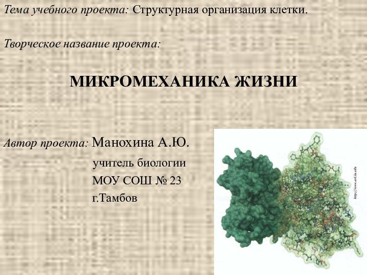 Тема учебного проекта: Структурная организация клетки.Творческое название проекта:МИКРОМЕХАНИКА ЖИЗНИАвтор проекта: Манохина А.Ю.