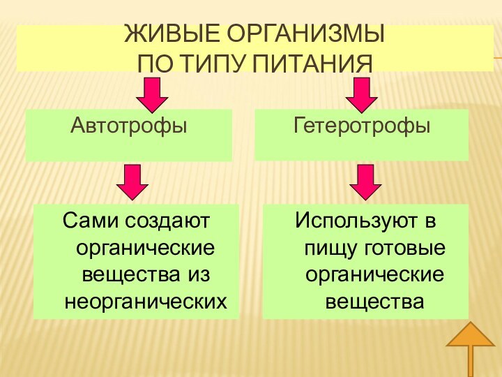 Принимая язык за органическое создание