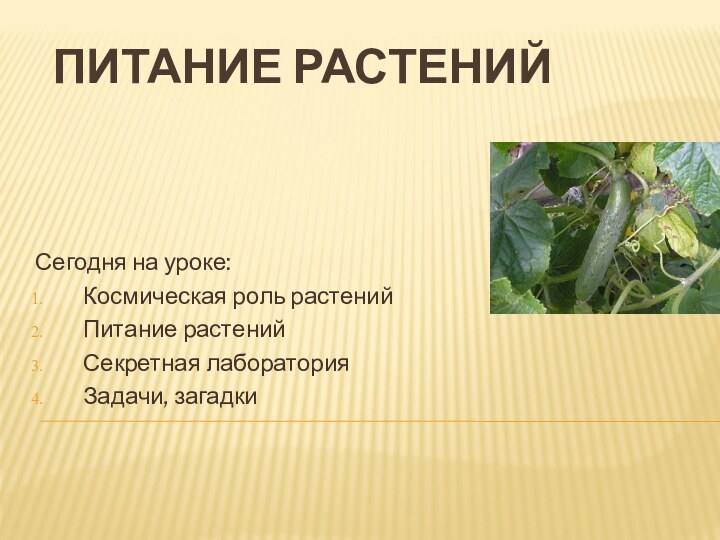 ПИТАНИЕ РАСТЕНИЙСегодня на уроке:Космическая роль растенийПитание растенийСекретная лабораторияЗадачи, загадки