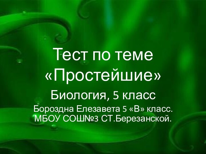 Тест по теме  «Простейшие»Биология, 5 классБороздна Елезавета 5 «В» класс. МБОУ СОШ№3 СТ.Березанской.