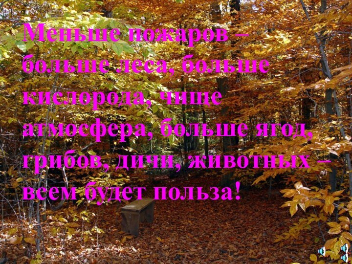 Меньше пожаров – больше леса, больше кислорода, чище атмосфера, больше ягод, грибов,