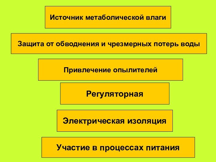 Источник метаболической влагиЗащита от обводнения и чрезмерных потерь водыПривлечение опылителейРегуляторнаяЭлектрическая изоляцияУчастие в процессах питания