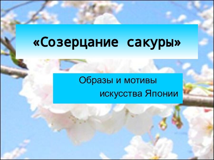 «Созерцание сакуры»Образы и мотивы         искусства Японии