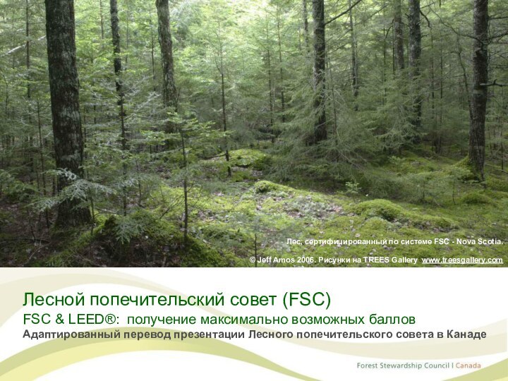 Лесной попечительский совет (FSC) FSC & LEED®: получение максимально возможных балловАдаптированный перевод