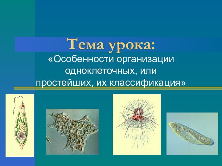 Тема урока:«Особенности организации одноклеточных, или простейших, их классификация»