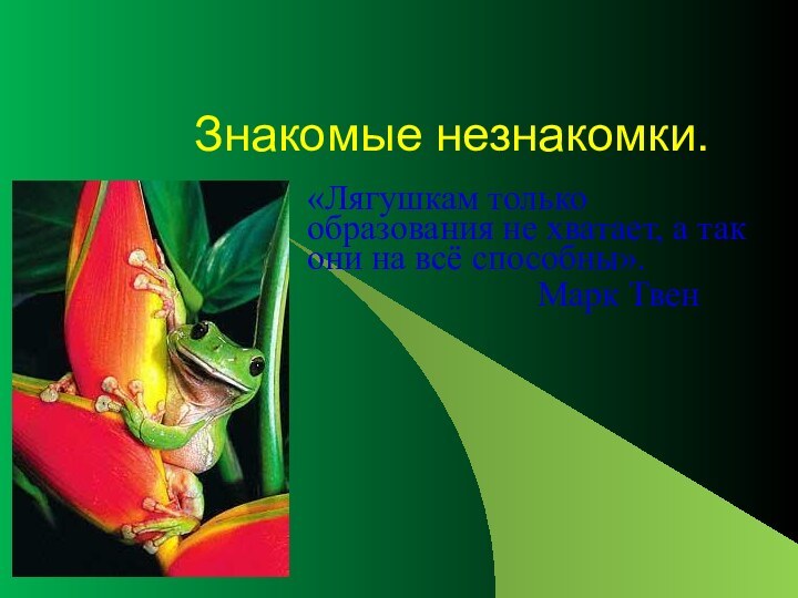 Знакомые незнакомки.«Лягушкам только образования не хватает, а так они на всё способны».