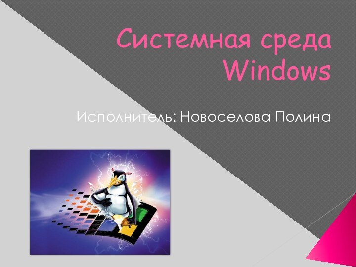 Системная среда WindowsИсполнитель: Новоселова Полина