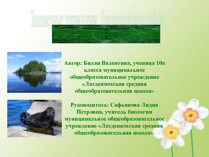 Автор: Билан Валентина, ученица 10а класса муниципальное общеобразовательное учреждение «Лахденпохская средняя общеобразовательная