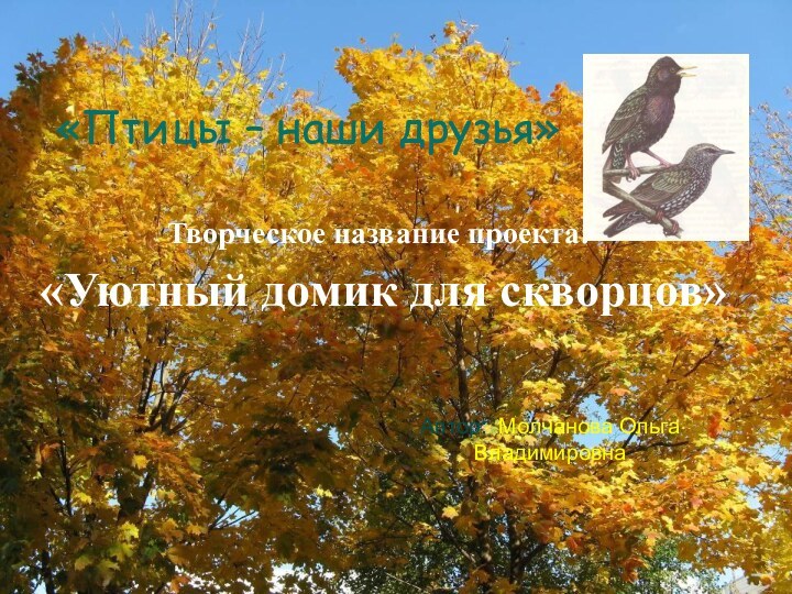 Творческое название проекта: «Уютный домик для скворцов»Автор: Молчанова Ольга