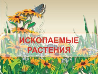 Ископаемые растения