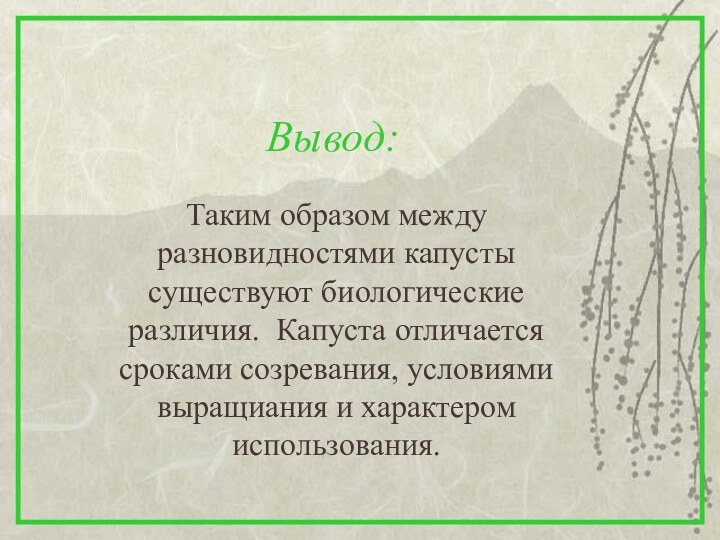 Вывод:Таким образом между разновидностями капусты существуют биологические различия. Капуста отличается сроками созревания,