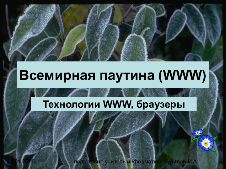 Всемирная паутина (WWW)07.01.2005