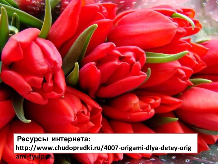 Ресурсы интернета: http://www.chudopredki.ru/4007-origami-dlya-detey-origami-tyulpan.html