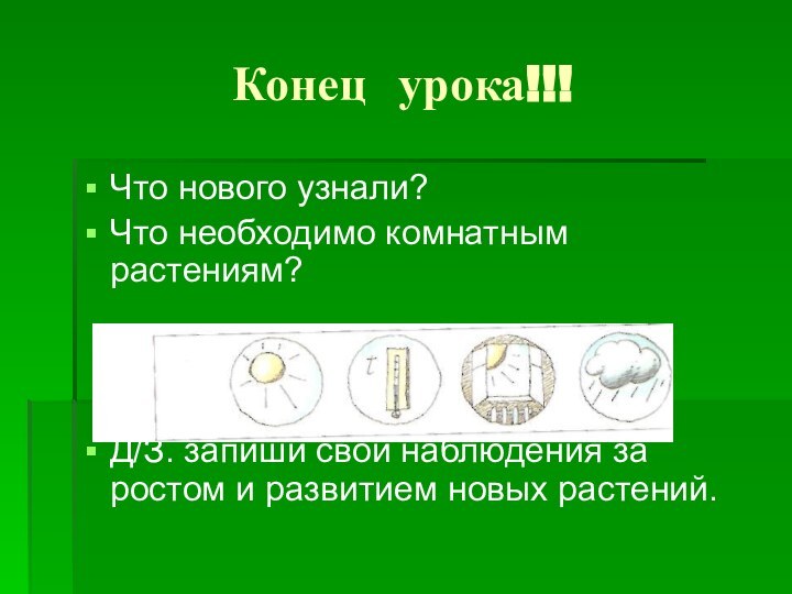 Конец урока!!!Что нового узнали?Что необходимо комнатным растениям?Д/З. запиши свои наблюдения за ростом и развитием новых растений.