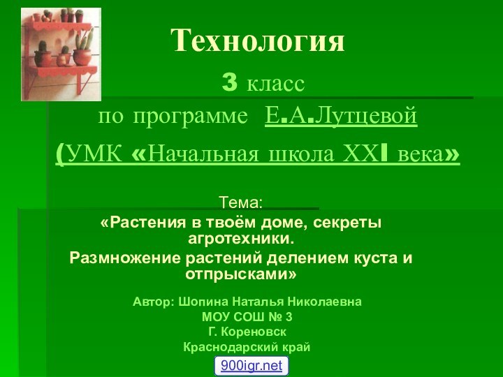 Технология  3 класс по программе Е.А.Лутцевой  (УМК «Начальная школа ХХI