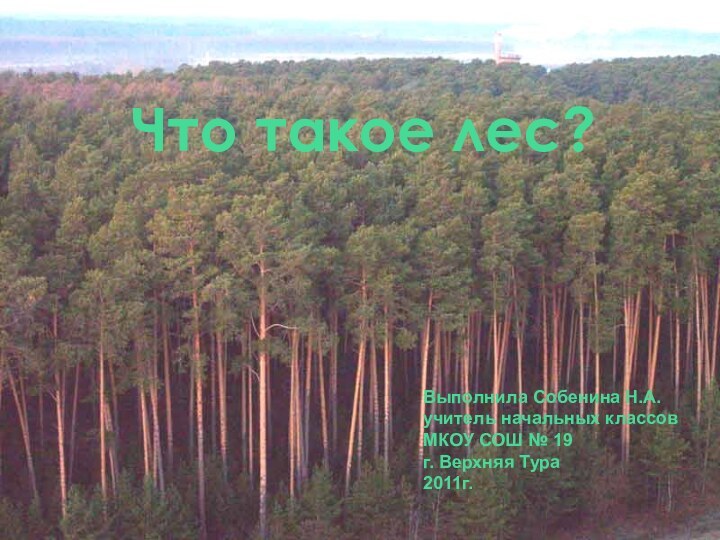 Что такое лес?Выполнила Собенина Н.А. учитель начальных классовМКОУ СОШ № 19г. Верхняя Тура2011г.
