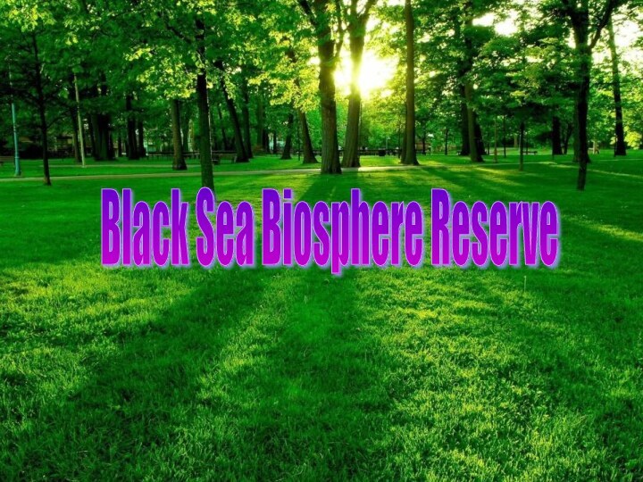 Black Sea Biosphere Reserve