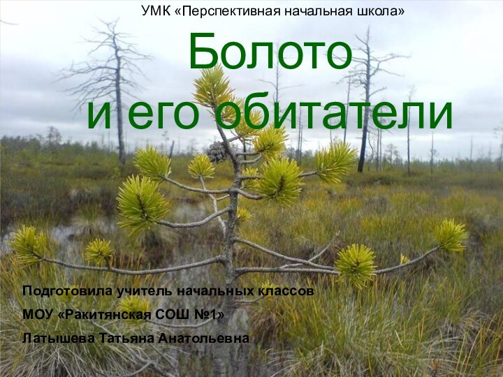 Болото и его обитателиПодготовила учитель начальных классовМОУ «Ракитянская СОШ №1»Латышева Татьяна АнатольевнаУМК «Перспективная начальная школа»