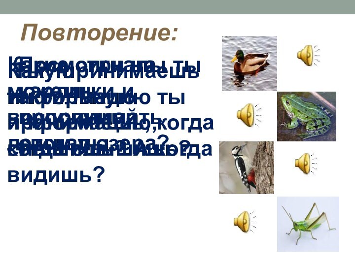 Повторение:Посмотри на картинки и прослушай сигналы.Какие сигналы ты можешь воспринимать летом у