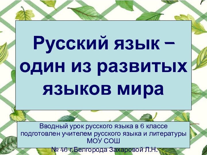 Русский язык – один из развитых языков мираВводный урок русского языка в