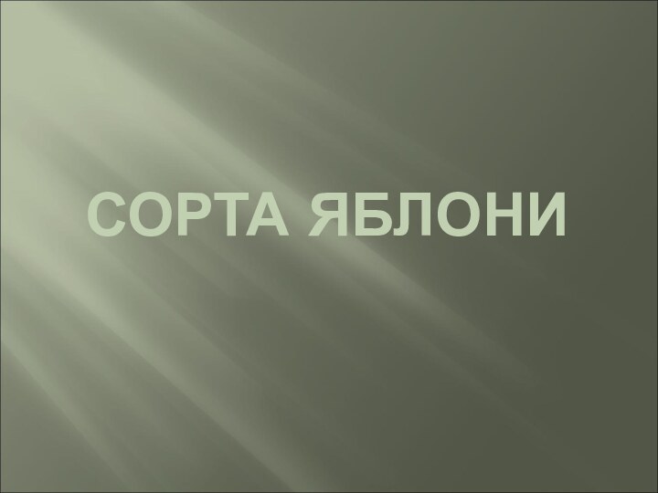 СОРТА ЯБЛОНИ