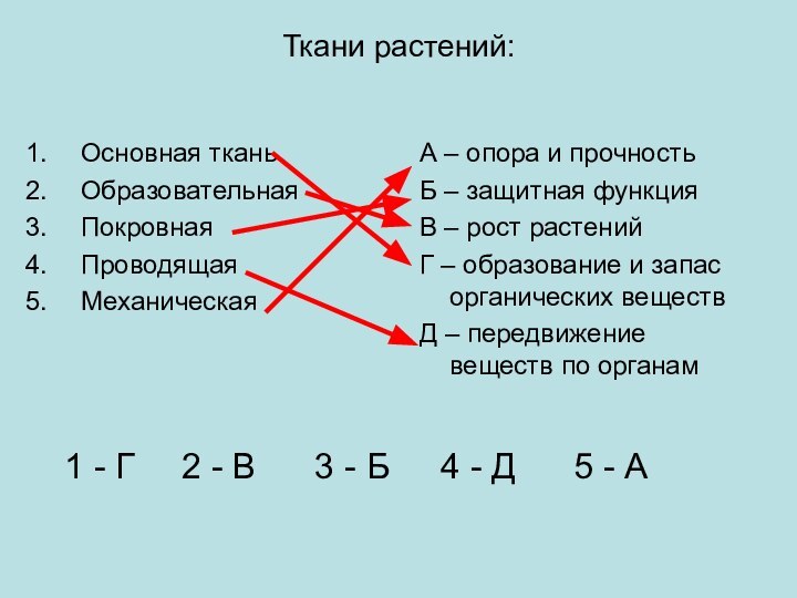 Ткани растений:Основная тканьОбразовательная Покровная Проводящая МеханическаяА – опора и прочностьБ – защитная