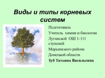 Виды и типы корневых систем