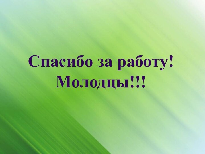 Спасибо за работу! Молодцы!!!