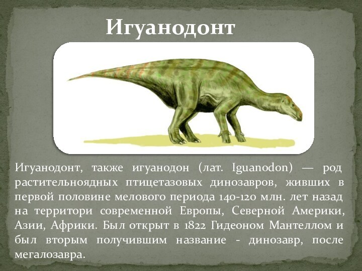 Игуанодонт, также игуанодон (лат. Iguanodon) — род растительноядных птицетазовых динозавров, живших в