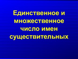 Единственное и множественное число имен существительных