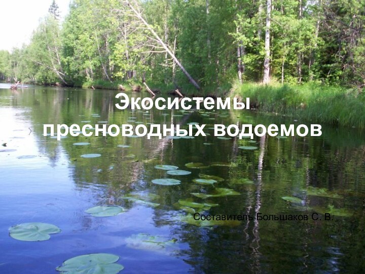 Экосистемы пресноводных водоемовСоставитель Большаков С. В.