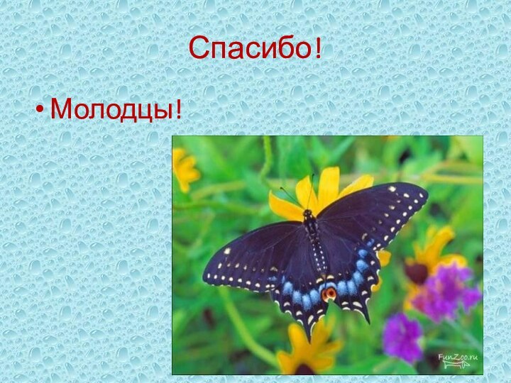 Спасибо!Молодцы!