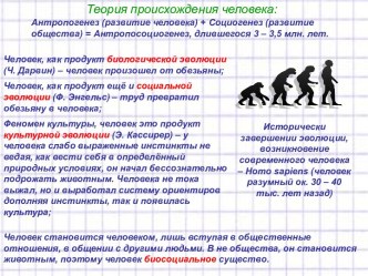 Теория происхождения человека