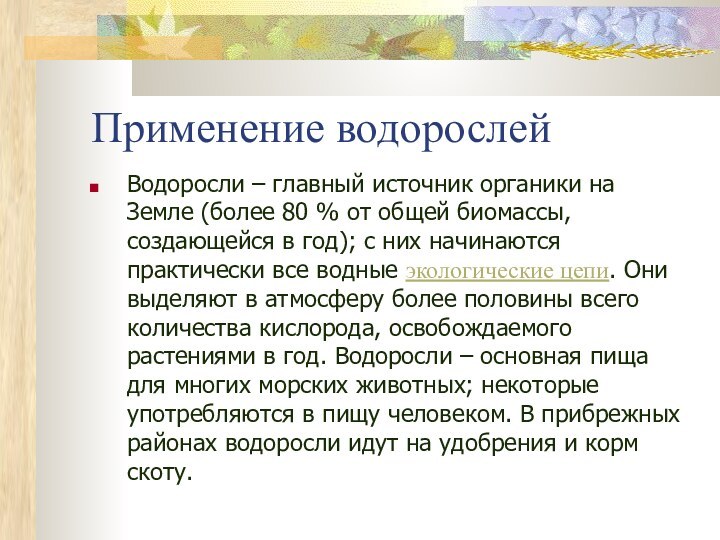 Применение водорослейВодоросли – главный источник органики на Земле (более 80 % от